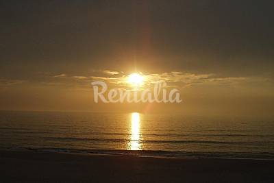 Praia da Costa de Lavos - Photo 1