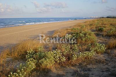 Playa Tavernes