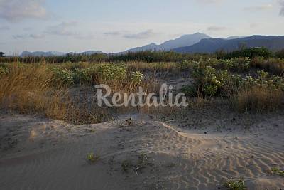 Playa Tavernes
