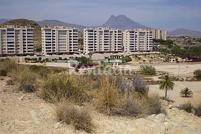 Playa Parais - Photo 1