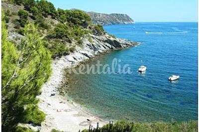 Playa Cala Murtra - Photo 1