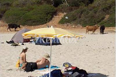 Playa Cala Varques