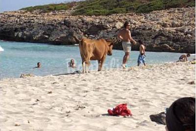 Playa Cala Varques