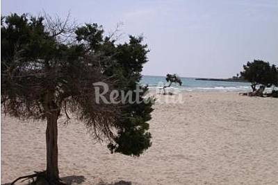Playa Sa Coma - Photo 1