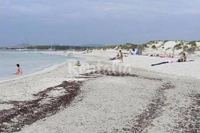 Playa S