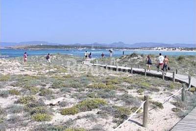 Playa S