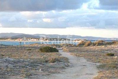 Playa S