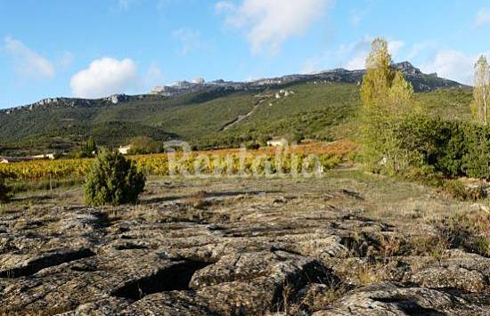 Kandela  Álava Lapuebla de Labarca Casa