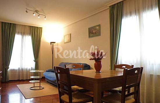 Apartamento Salón Navarra Baztan Apartamento