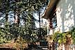 La Casa degli Scoiattoli - Casa con 1 stanze a Sasso Marconi Bologna