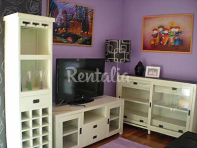 Apartamento Salón Cantabria Ramales de la Victoria Apartamento