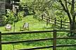 Apartamentos Tarabica - Maison en location dans un environnement montagneux Asturies