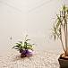 Loft- Interior del aloj. Sevilla Sevilla Apartamento