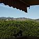 7 Vistas desde la casa Málaga Marbella Apartamento