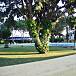 7 Jardín Málaga Marbella Apartamento