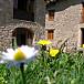 Mas  Girona Santa Pau Casa
