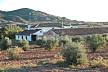 Cortijo Las Pajarillas I, II  y III - Casa para 4-22 personas Albacete