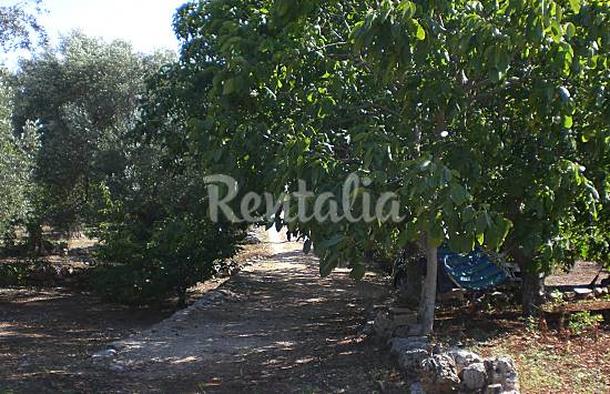 Trullo Jardín Brindisi Ceglie Messapica Casa