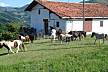Casa Aldabeko Borda - House with 2 bedrooms in Navarra Navarra