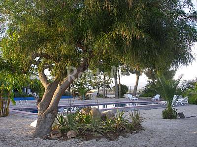 Casa Piscina Murcia Fortuna Casa