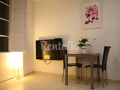 Apart. Salón Barcelona Barcelona Apartamento