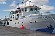 walking distance to Madalena Ferry