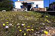 Villa en alquiler a 500 m de la playa Formentera