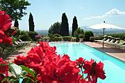 10 Apartamentos  con piscina Florencia