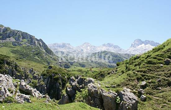 La  Asturias Parres Casa