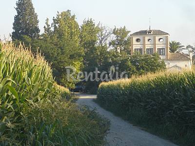 Cortijo Outdoors Granada Granada House