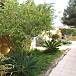 Aquilo Jardín Murcia Cartagena Casa