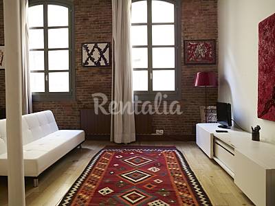 Apartamento Salón Barcelona Barcelona Apartamento