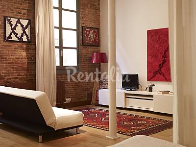 Apartamento Salón Barcelona Barcelona Apartamento