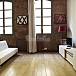 Apartamento Salón Barcelona Barcelona Apartamento
