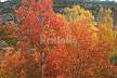otoño