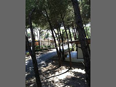 Villa Jardín Salerno Battipaglia Villa