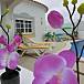 Villa Terraza Algarve-Faro Albufeira Villa