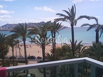 Apartamento Vistas desde la casa Alicante Benidorm Apartamento