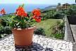 Quinta do Sol Poente - house 9 km from the beach Isle of São Miguel