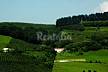 Caserío Txamora Berri - Appartement en location Navarre