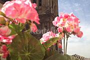 4 Apartments for rent in the centre of Granada Granada