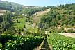 Apartamentos Rurales Ardaliz - Appartement de 5 chambres Asturies