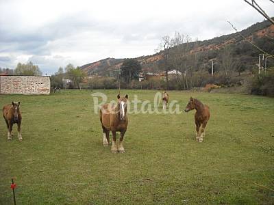 Casas Alrededores León Cimanes del Tejar Casa