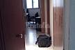 Apartment for rent in Naples Naples