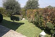 Apto independiente con jardín con jardín privado Mallorca