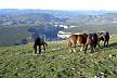 Arbaiun Etxea - Casa per 10 persone in un ambiente montano Navarra