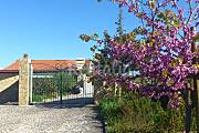 Villa with 4 bedrooms 15 km from the beach Lisbon