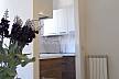 Apartment Sbryna for rent in Florence Florence