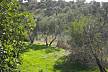 Huerto