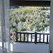 Espectacular Vistas desde la casa Granada Almuñécar Apartamento